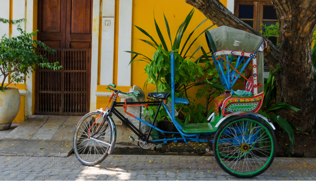 French Language and Culture