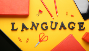 Read more about the article The Future of French: Trends and Innovations in Language Education